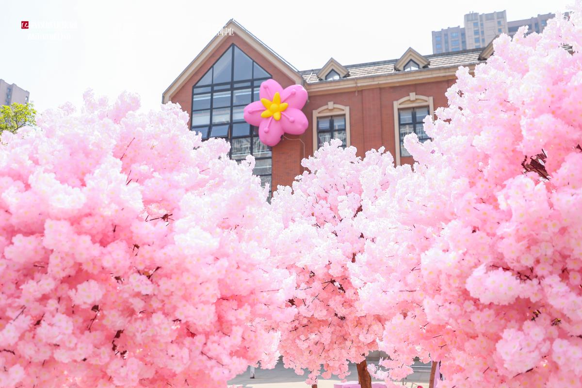 1757584455690289.jpg 10.jpg